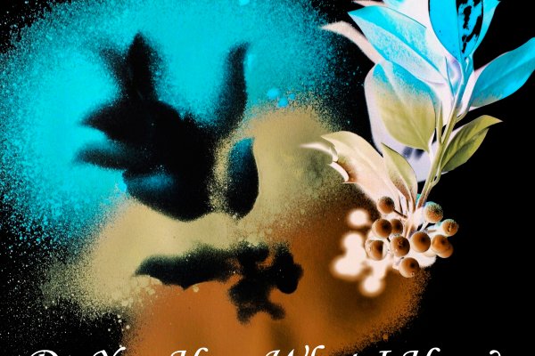 Do You Hear What I Hear?